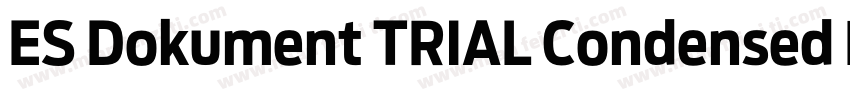 ES Dokument TRIAL Condensed Bold字体转换